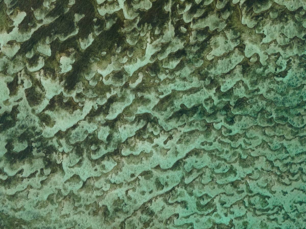 Indian Ocean