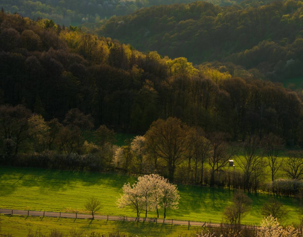 Spring Hlinná