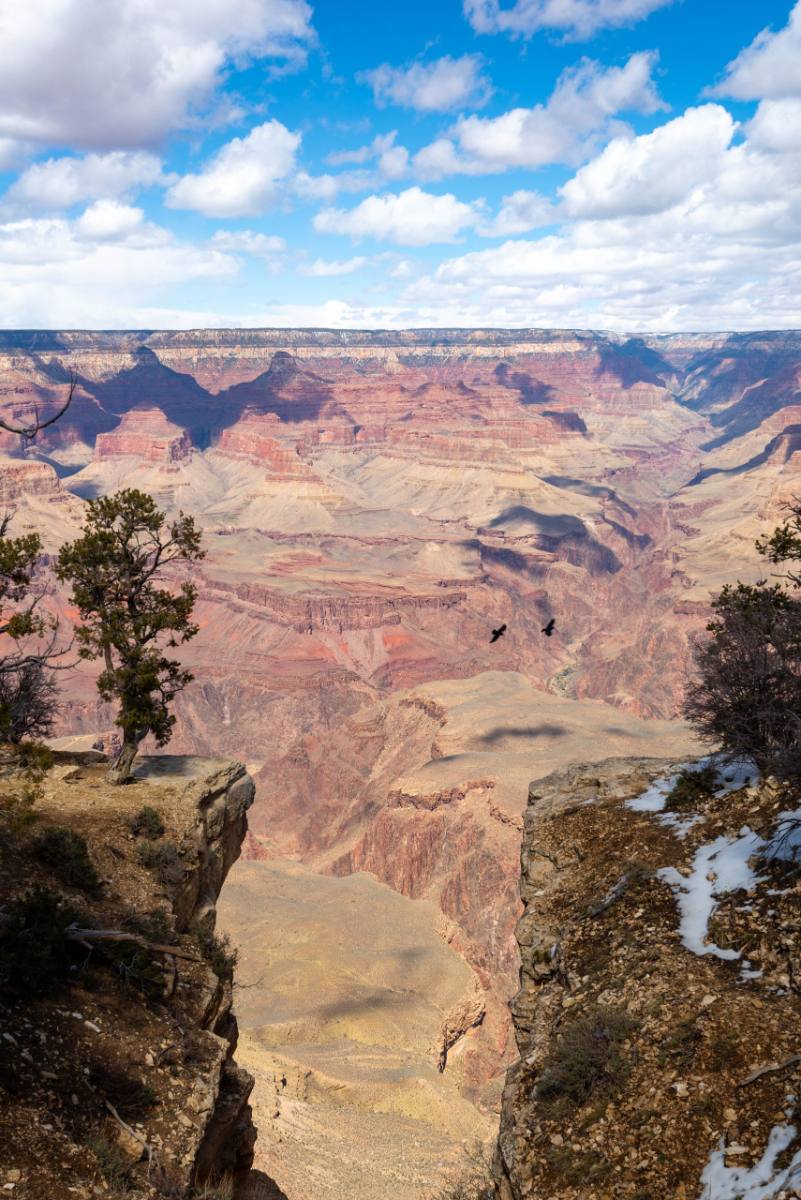 The Grand Canyon