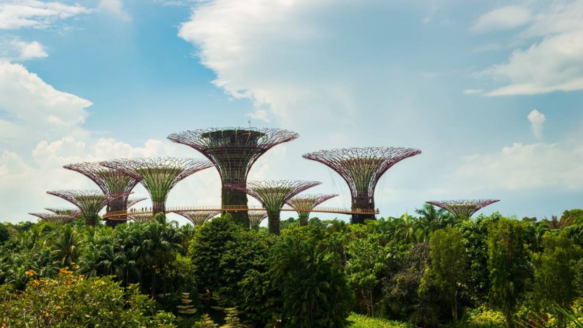 Sky Garden