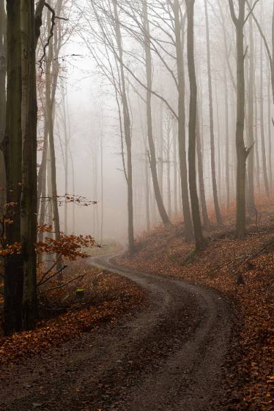 Autumn Bouřňák